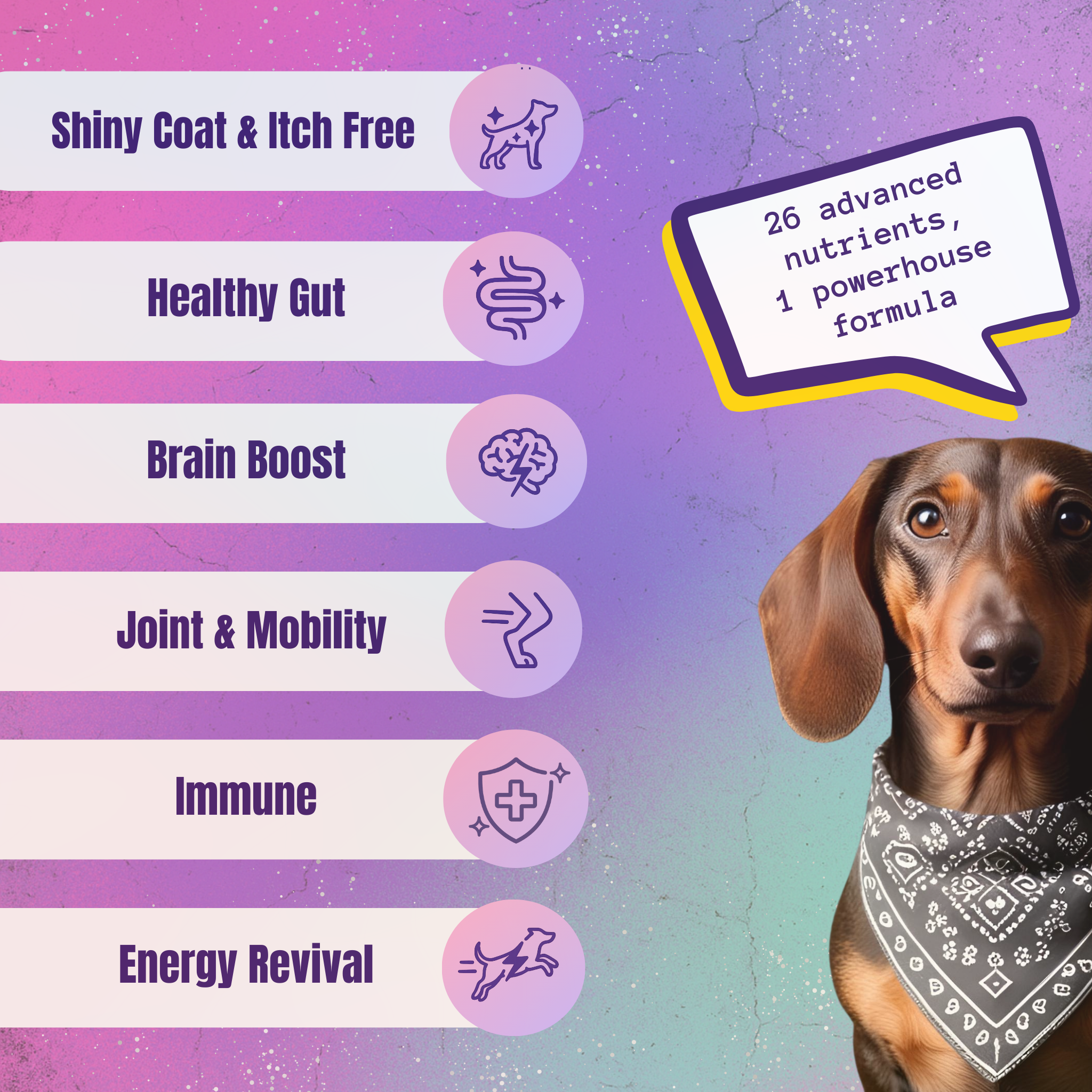 Fur Rebel Pooch Powder