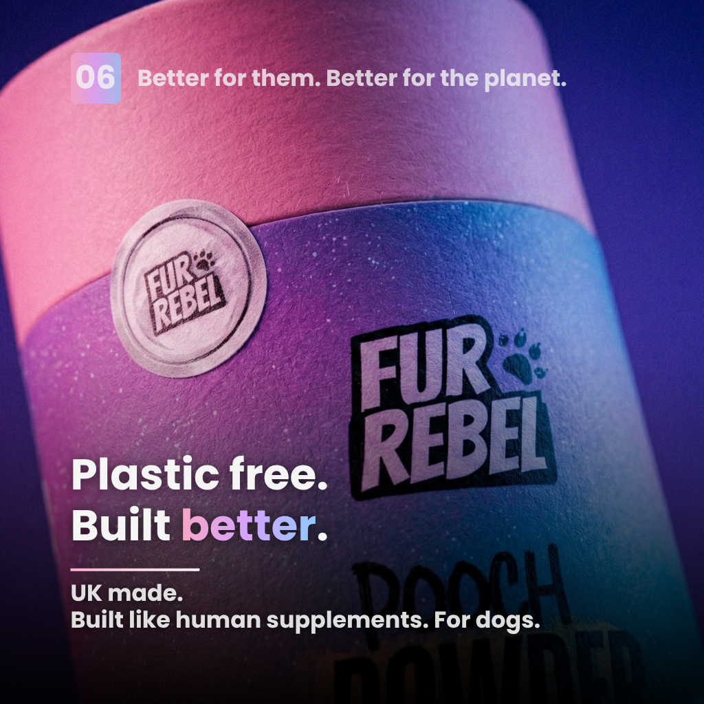 Fur Rebel Pooch Powder