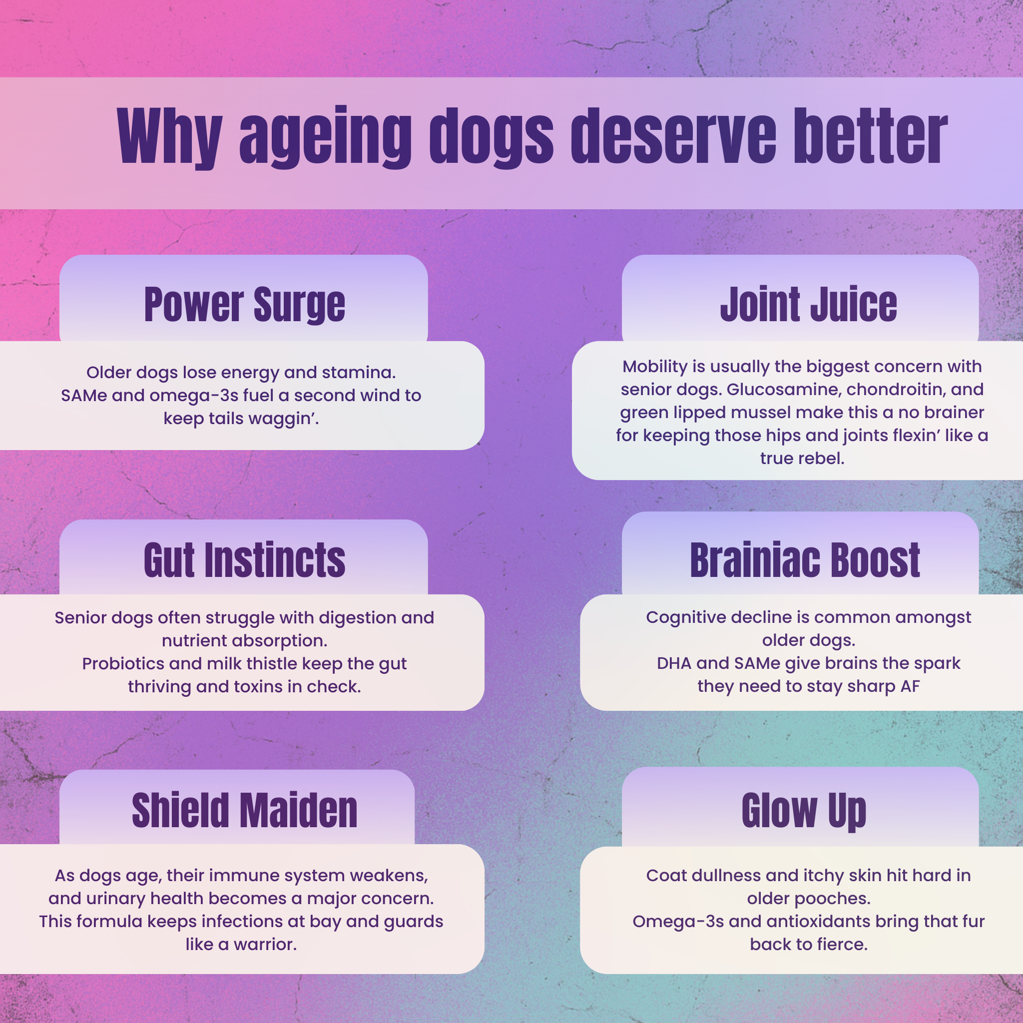 Fur Rebel Pooch Powder