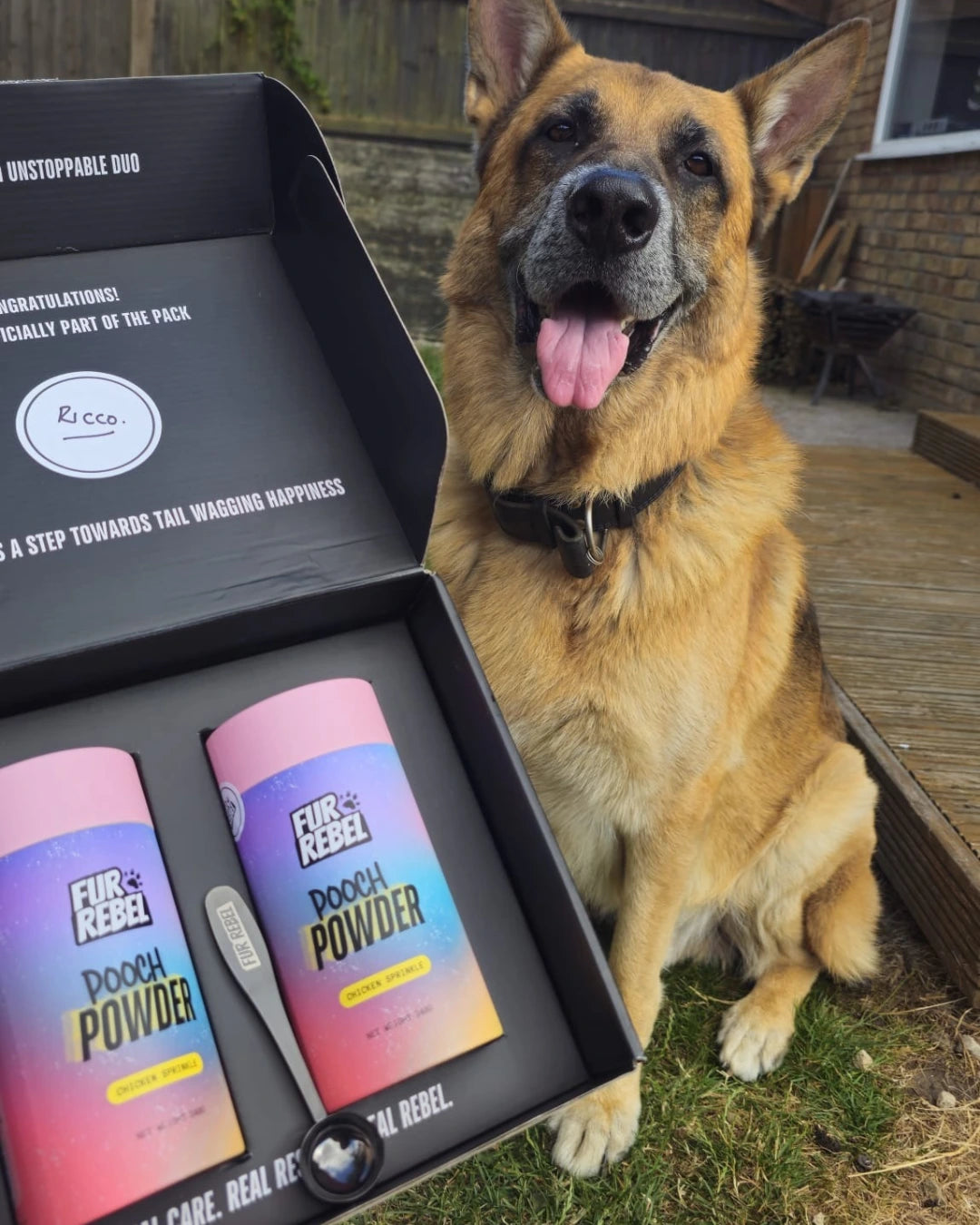 The Fur Rebel Founding Pack contents