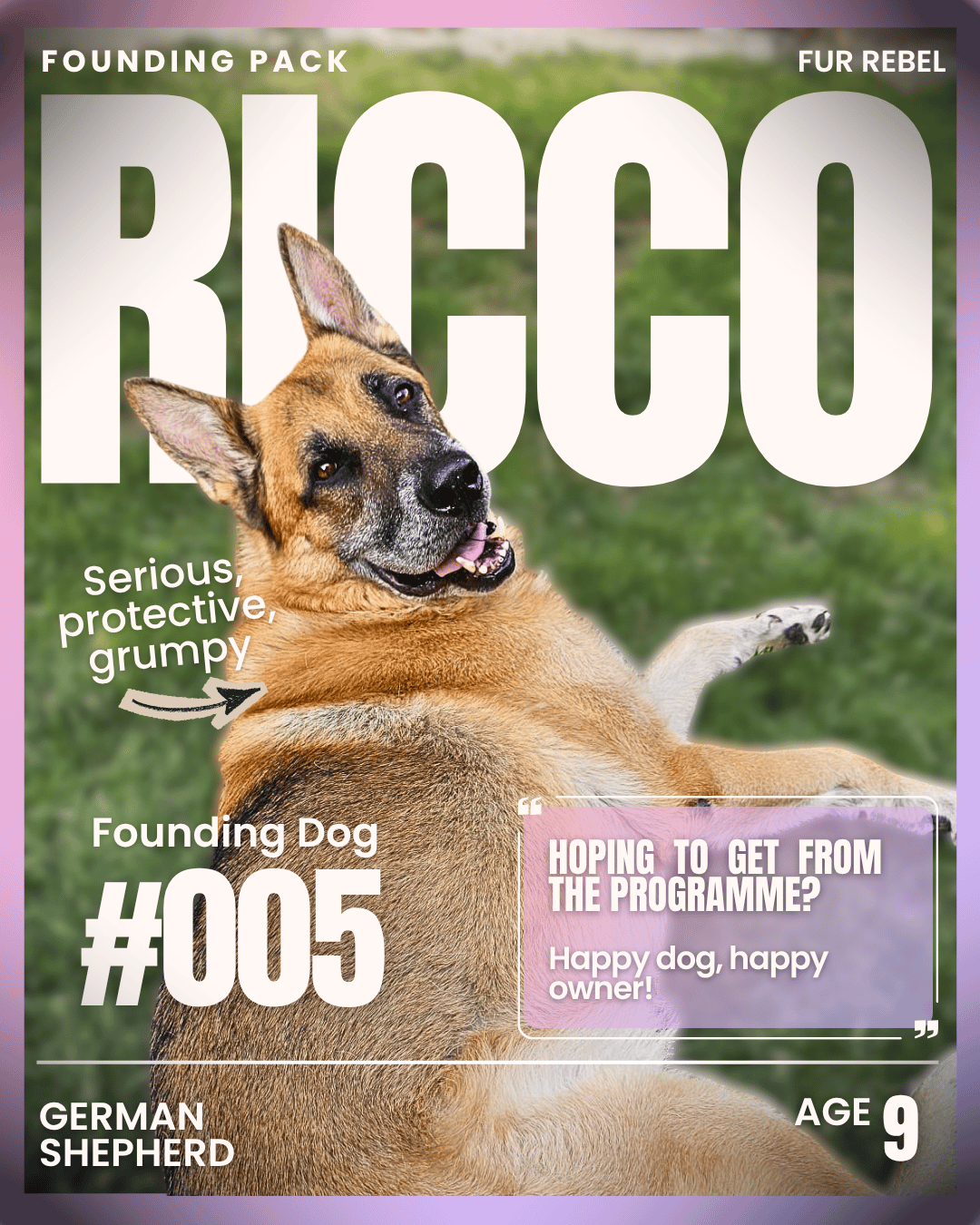 Ricco, a dog featured in the Fur Rebel Dog Diaries