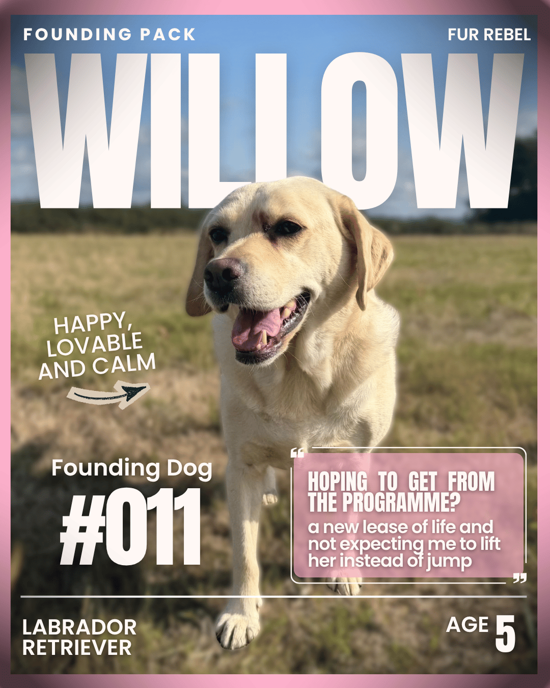 Willow, a dog featured in the Fur Rebel Dog Diaries