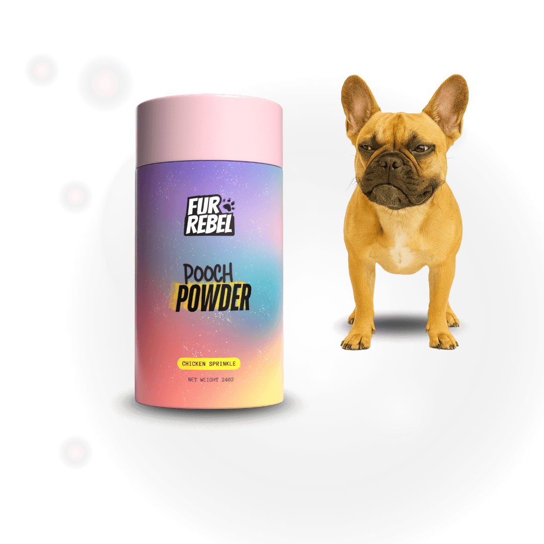 Fur Rebel Pooch Powder tube with a dog on a white background